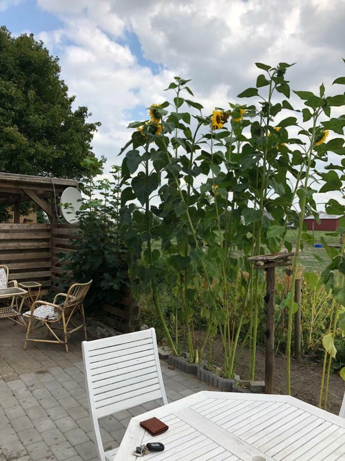 A Big Holidayhouse Romo-Rim-Ribe Skærbæk Екстериор снимка